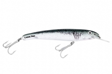 GREAT WHITE (H88)