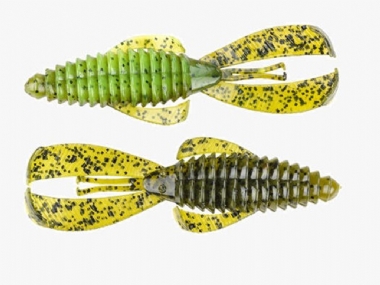 SUMMER CRAW