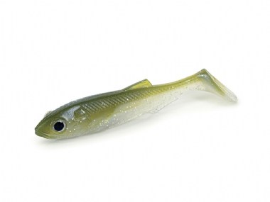 OLIVE SHAD