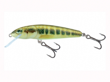 MINNOW