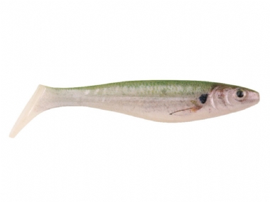 HD TENNESSEE SHAD