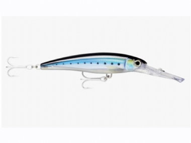 HD BLUE SARDINE