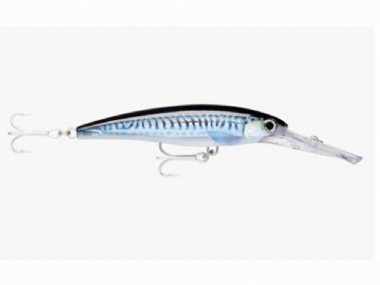 HD SILVER BLUE MACKEREL