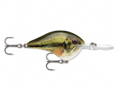 LIVE LARGEMOUTH BASS