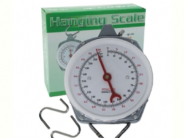 ACCESSORIES  HANGING SCALE 100KG
