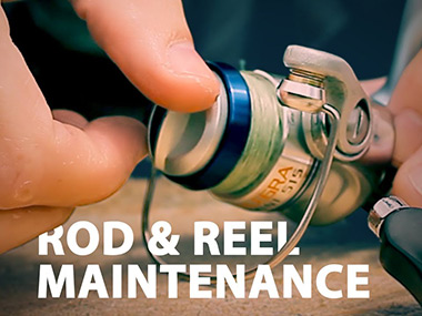 ROD & REEL MAINTENANCE 