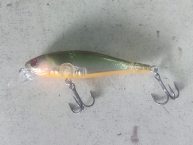 MULLET OB