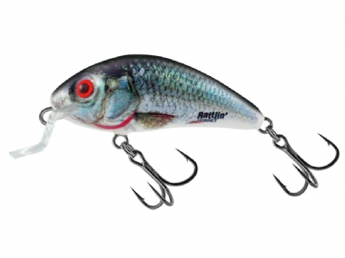 HOLOGRAPHIC REAL DACE