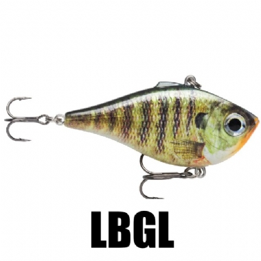 LIVE BLUEGILL