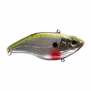 CHROME SHAD
