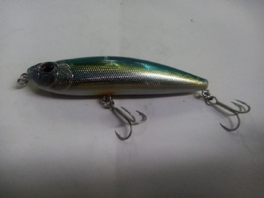 RIVER SHAD