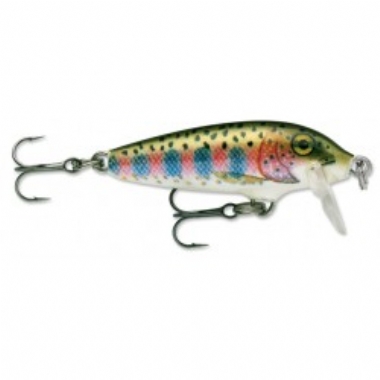 RAINBOW TROUT