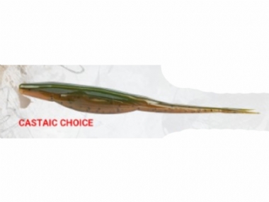 CASTAIC CHOICE	