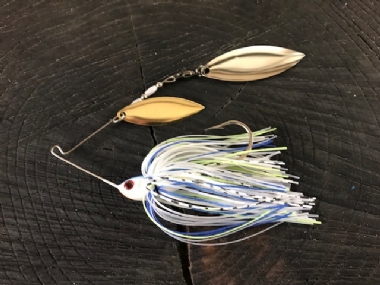 SEXY SHAD