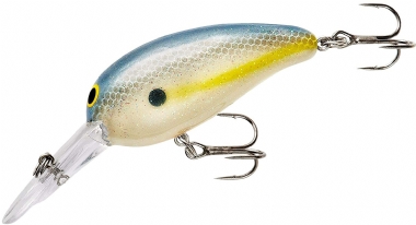 SEXY SHAD