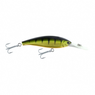 GOLD SPECKLED PERCH