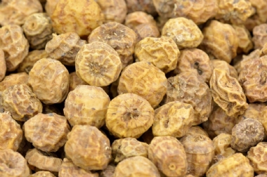 GANIS TIGERNUTS  LARGE BULK 25KG