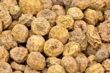 GANIS TIGERNUTS  LARGE BULK 25KG