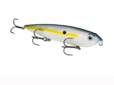 SEXY SHAD