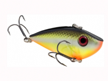 CHARTREUSE BAITFISH