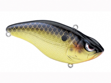 KILLER GILL