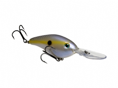 CHART SHAD