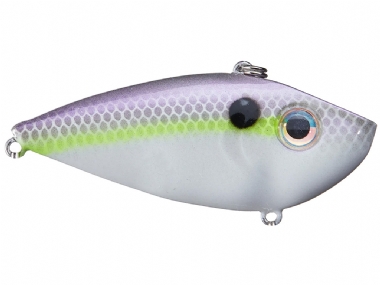 SEXY LAVENDER SHAD