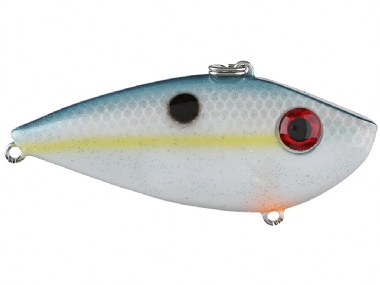 SEXY SHAD