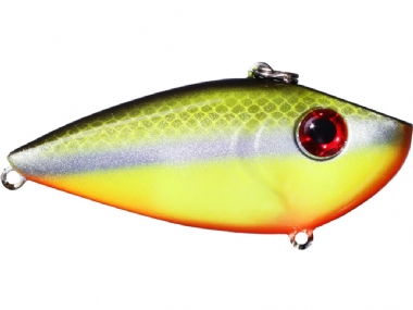 CHARTREUSE BAITFISH