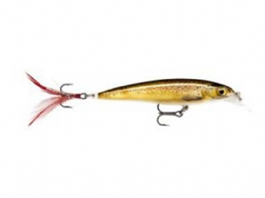 LIVE TROUT