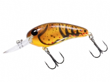 MUDDY CRAW