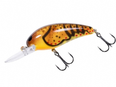 MUDDY CRAW