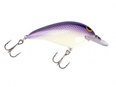 LAVENDER SHAD
