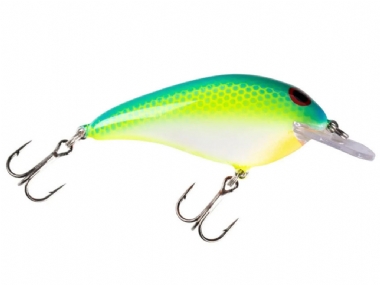 TROPICAL SHAD