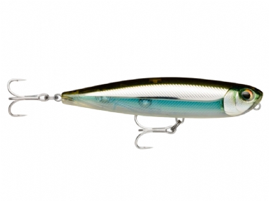 MOSS BLACK SHINNER (MBS)