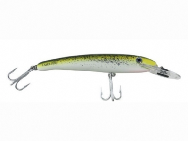 MUSTARD GRUNTER (R17)