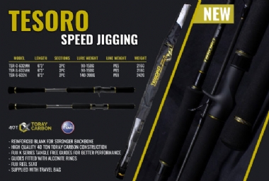 OKUMA TESORO SPEED JIGGING SPINNING