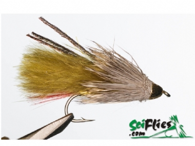 OLIVE