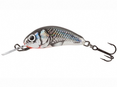 HOLOGRAPHIC GREY SHINER