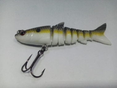 PRETTY SHAD
