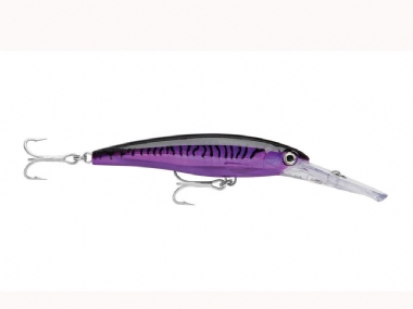 PURPLE MACKEREL