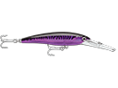 PURPLE MACKREL