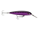 PURPLE MACKREL