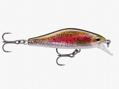 LIVE RAINBOW TROUT	