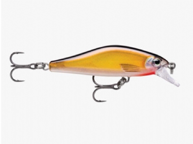 GOLD SHAD