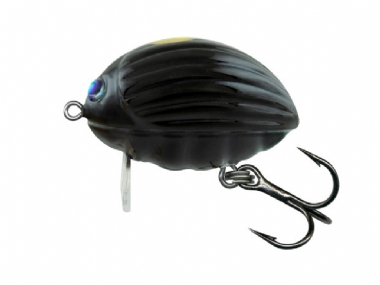 BLACK BUG