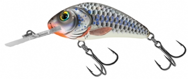 SILVER HOLOGRAPHIC SHAD