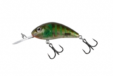 GREEN GILL CLEAR
