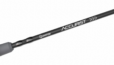 QUANTUM ACCURIST (BLACK) CASTING 