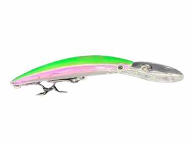 RAINBOW TROUT